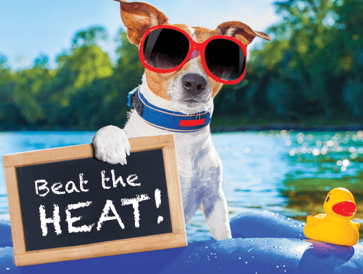 Our Air Conditioning Service Beats the Heat!
